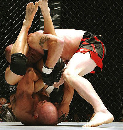 MMA (Mixed Martial Arts)