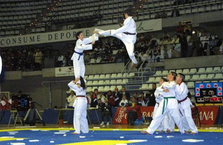 TAEKWONDO
