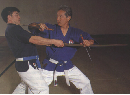 YOSEIKAN BUDO